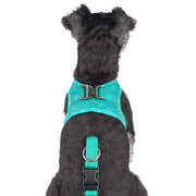 Atmungsaktives Hundegeschirr Mit Leine Verstellbar Sicher