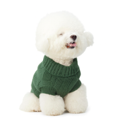 Klassischer Strickpullover für Hunde – Smaragdgrün