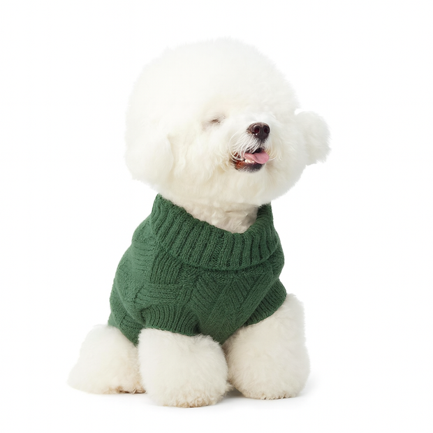 Klassischer Strickpullover für Hunde – Smaragdgrün
