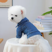 Klassische Jeansjacke Für Kleine Hunde Komfortabel