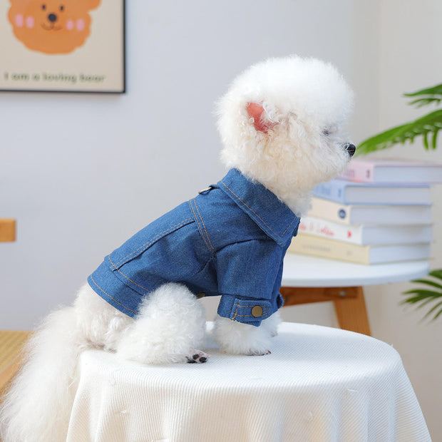 Klassische Jeansjacke Für Kleine Hunde Komfortabel