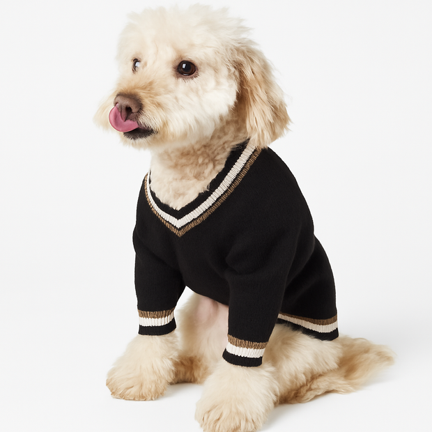Klassischer Strickpullover für Hunde Eleganter VAusschnitt