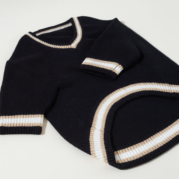 Klassischer Strickpullover für Hunde Eleganter VAusschnitt