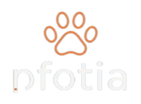 Pfotia