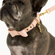 Luxuriöses Veganes Hundehalsband Und LeinenSet Rosa Goldfarben Elegant