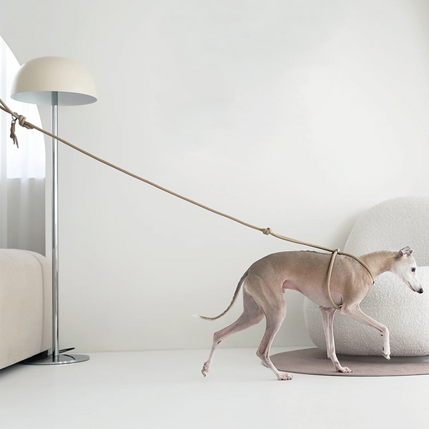 Verstellbare Premium Hundeleine Veganleder Beige Robust Komfortgriff